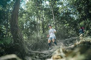 BIB: 
                            <button type="button" onclick="openModal(25986317)" class="btn btn-primary btn-sm float-right btn-popup" data-toggle="modal" data-target=".modal-high-quality">
                        <i class="fas fa-shopping-cart"></i> Add to Cart
                    </button>
                                            <button type="button" onclick="isThisMe(25986317, true)" class="btn btn-success btn-sm float-right btn-popup btn-isme hidden" data-toggle="tooltip" data-placement="bottom" title="นี่คือรูปของคุณใช่ไหม คลิกที่นี่เพื่อเอาเข้าอัลบั้ม">
                        <i class="fas fa-plus"></i> Add to album
                    </button>
                    <button type="button" onclick="isThisMe(25986317, false)" class="btn btn-warning btn-sm float-right btn-popup btn-isnotme hidden">
                        <i class="fas fa-ban"></i> Remove from album
                    </button>